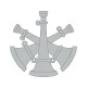 5a - Assistant Chief
